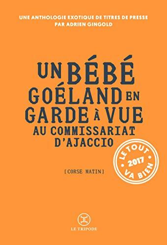 Un bébé Goéland en garde à vue au commissariat d'Ajaccio - Le tout va bien 2017 - Adrien Gingold - Livre