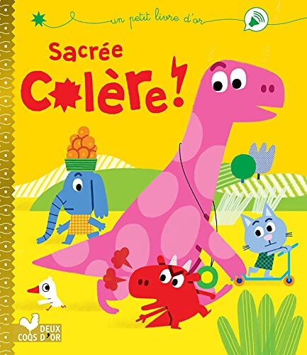 Sacrée colère ! - Caroline Pellissier - Livre