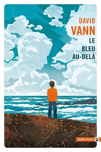 Le bleu au-delà - David Vann - Livre