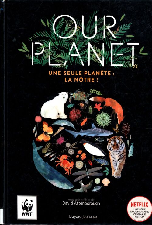 Our planet - Matt Whyman - Livre