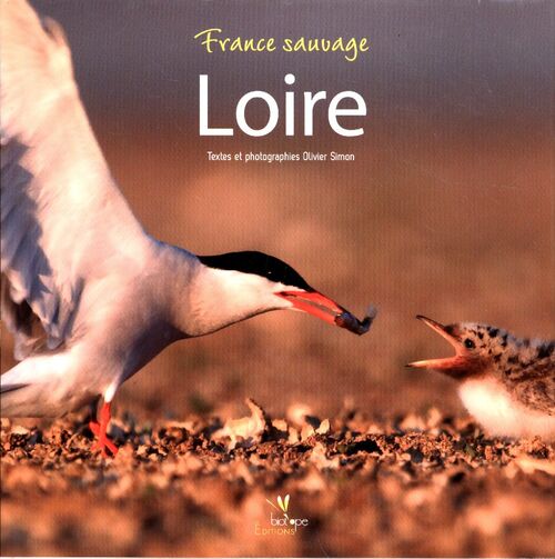 Les ailes de la Loire - Olivier Simon - Livre