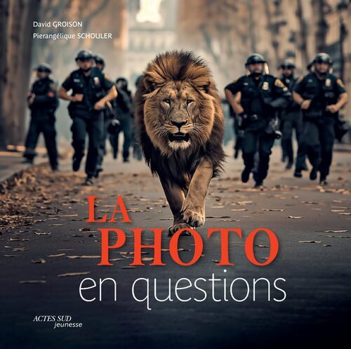 La photo en questions - David Groison - Livre