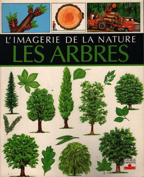 Arbres - Emilie Beaumont - Livre