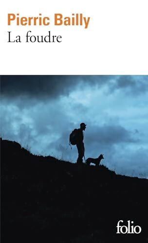 La Foudre - Pierric Bailly - Livre