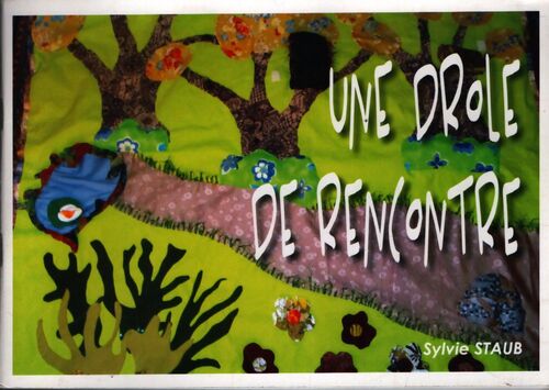 Une drôle de rencontre - Sylvie Staub - Livre