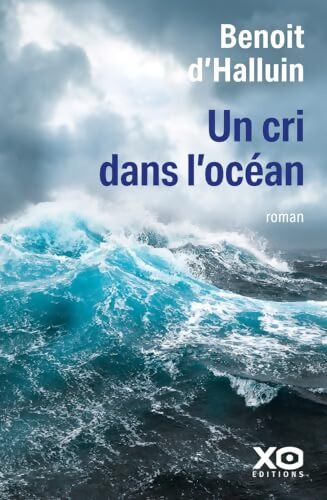 Un cri dans l'océan - Benoît D' Halluin - Livre