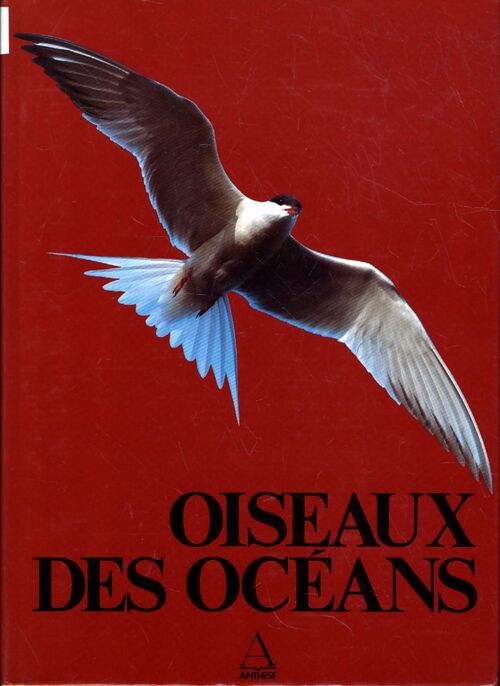 Oiseaux des océans - Lars-Éric Löfgren - Livre