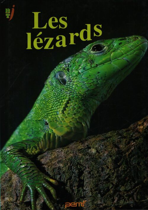 Les lézards - Patrick Bensa - Livre