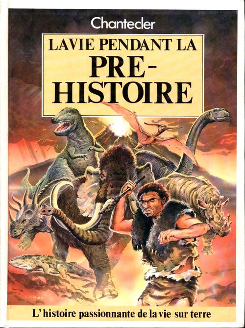 La vie pendant la préhistoire - John Stidworthy - Livre
