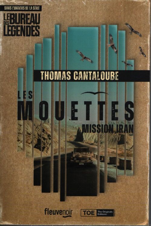 Les mouettes - mission Iran - Thomas Cantaloube - Livre