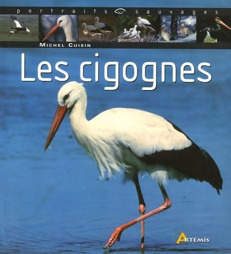 Les cigognes - Michel Cuisin - Livre