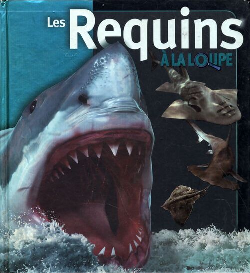 Les requins - Beverly McMillan - Livre
