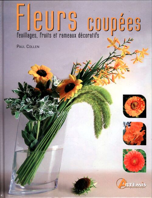 Fleurs coupées : Feuillages fruits et rameaux décoratifs - Danièle Guézou - Livre