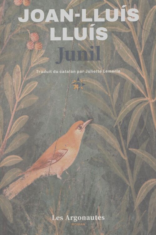 Junil - Joan-lluis Lluis - Livre