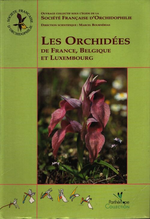 Les orchidées de France Belgique et Luxembourg - Collectif - Livre