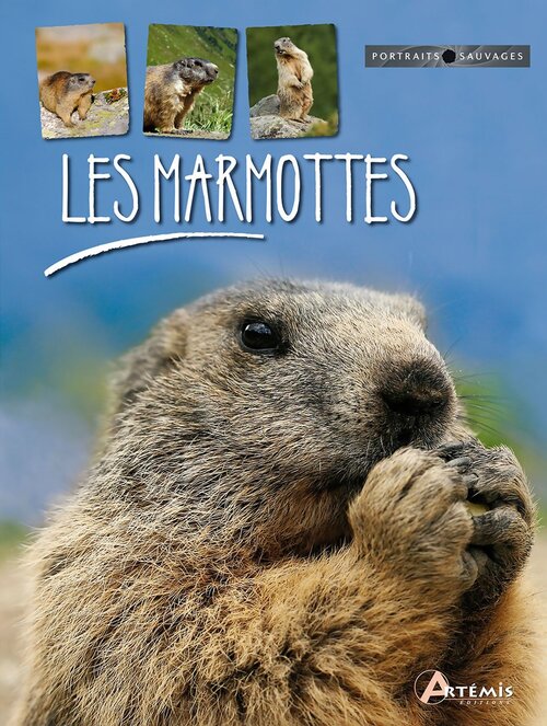 Les marmottes - Maurice Dupérat - Livre