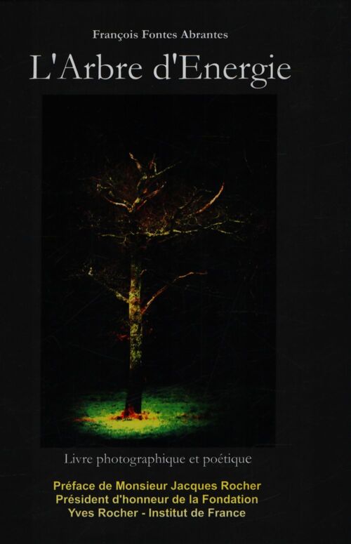 L'arbre d'énergie - Francois Fontes Abrantes - Livre