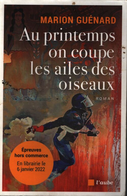 Au printemps on coupe les ailes des oiseaux - Marion Guénard - Livre