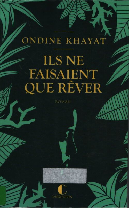 Ils ne faisaient que rêver - Ondine Khayat - Livre