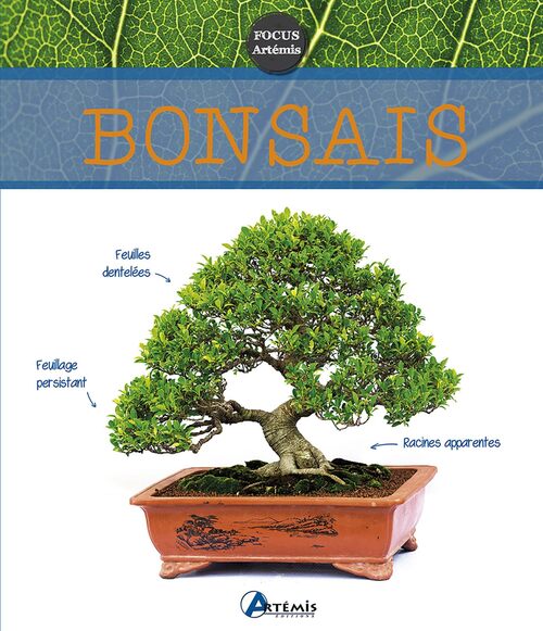 Bonsaïs - Charleuf-Calmet - Livre