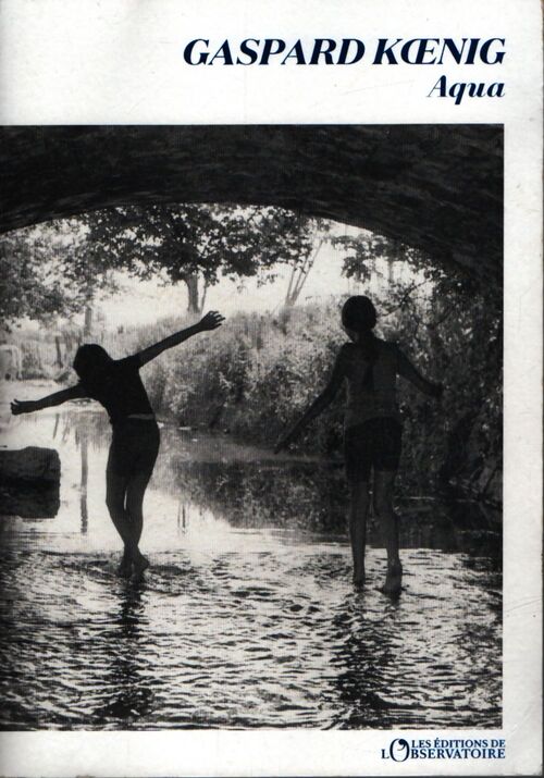 Aqua - Gaspard Koenig - Livre