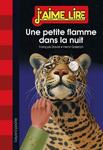 Une petite flamme dans la nuit - François David - Livre