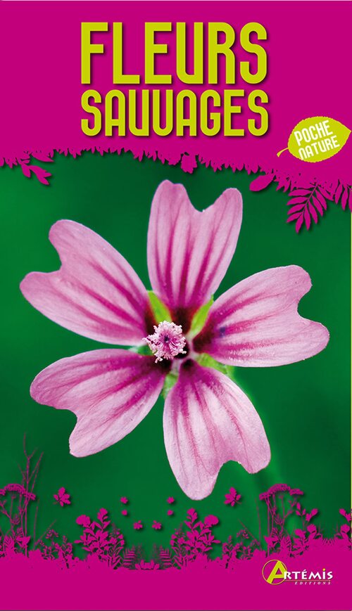 Fleurs sauvages - Jm Polese - Livre