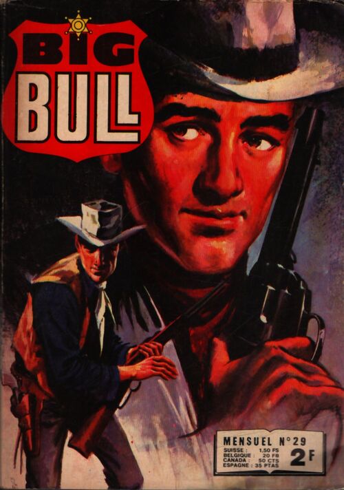 Big Bull n°29 - Collectif - Livre