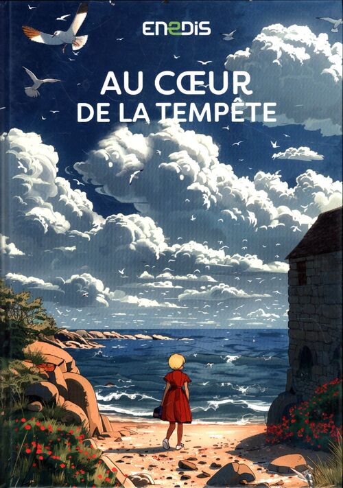 Au coeur de la tempête - Collectif - Livre