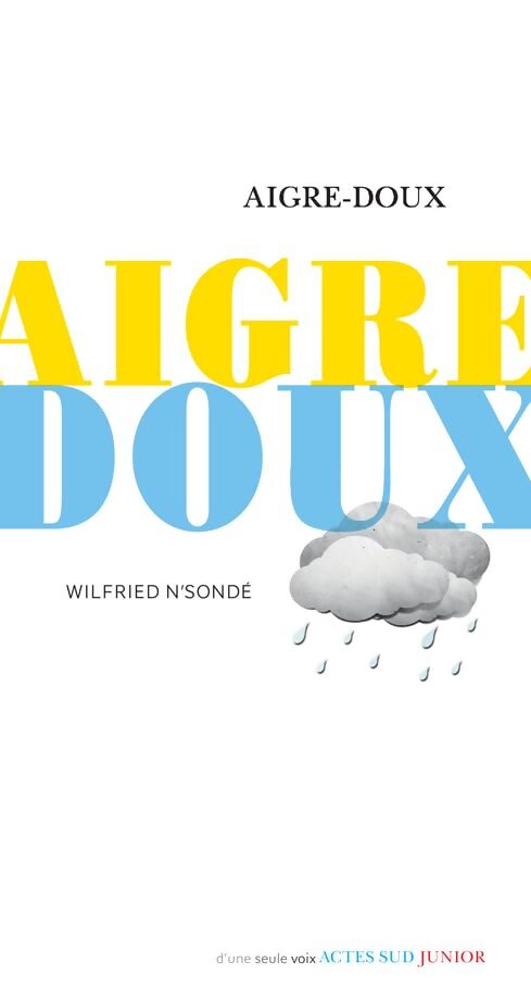 Aigre-doux - Wilfried N'sondé - Livre