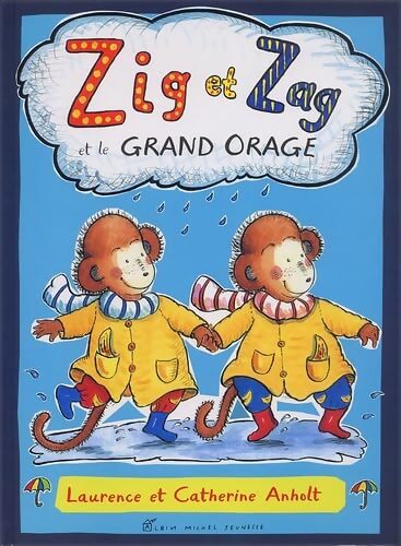 Zig et Zag et le grand orage - Catherine Anholt - Livre