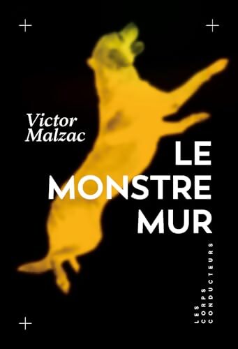 Le monstre mur - Victor Malzac - Livre