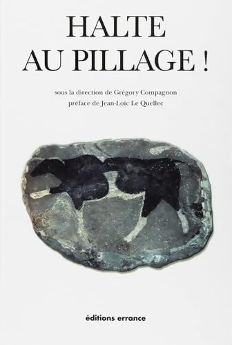 Halte au pillage ! - Gregory Compagnon - Livre