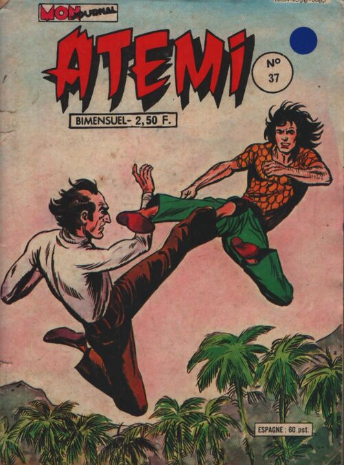 Atemi n°37 - Collectif - Livre