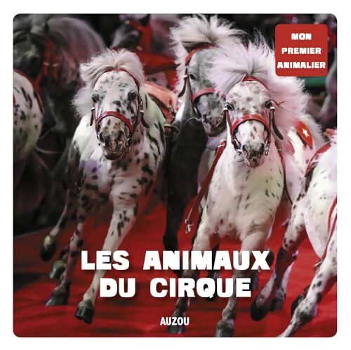 Le cirque - Collectif - Livre