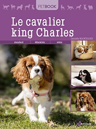 Le cavalier king charles - Danielle Marchand - Livre