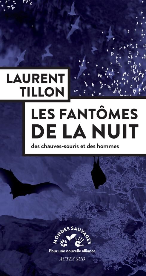 Les fantômes de la nuit : Des chauves-souris et des hommes - Laurent Tillon - Livre