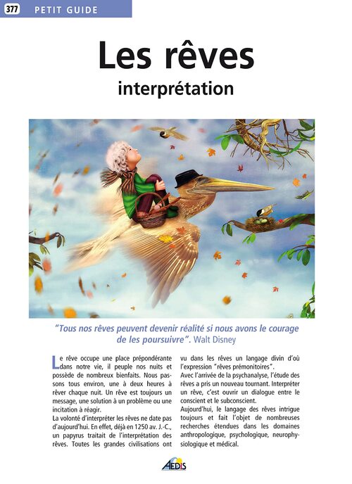 Les rêves : Interprétation - Martina Krcmar - Livre