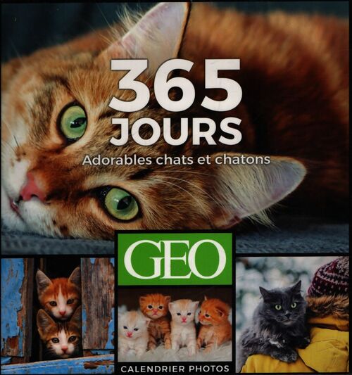 365 jours adorables chats et chatons - Collectif - Livre