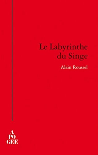 Le labyrinthe du singe - Alain Roussel - Livre