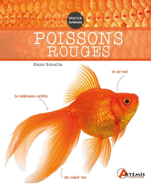 Poissons rouges - Collectif - Livre