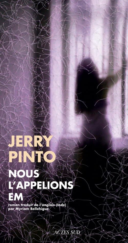 Nous l'appelions Em - Jerry Pinto - Livre