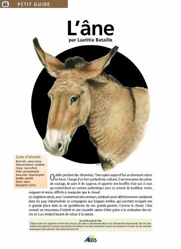 L'âne - Laetitia Bataille - Livre