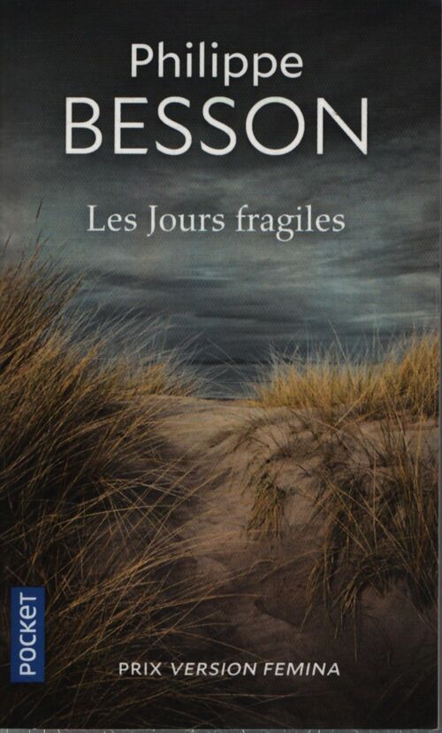 Les jours fragiles - Philippe Besson - Livre