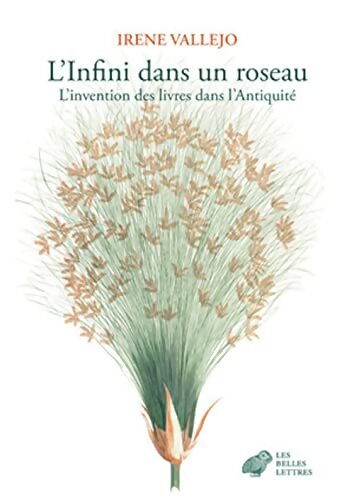 L'infini dans un roseau : L'Invention des livres dans l'Antiquité - Irène Vallejo - Livre