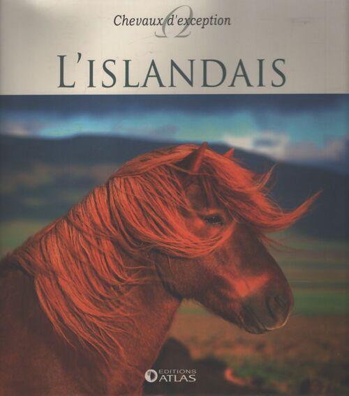 L'islandais - Collectif - Livre