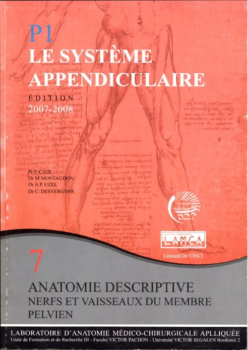 Le système appendiculaire n°7 : Nerfs et vaisseaux du membre pelvien - Collectif - Livre