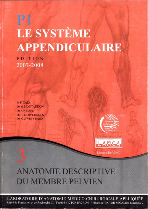Le système appendiculaire n°3 : Anatomie descriptive du membre pelvien - Collectif - Livre