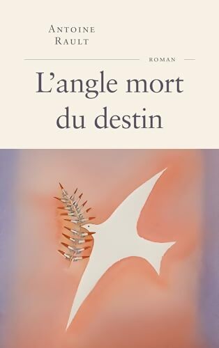 L'angle mort du destin - Antoine Rault - Livre
