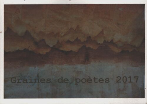 Graines de poètes 2017 - Collectif - Livre